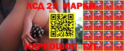 гидропоника Будённовск