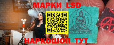 гидропоника Будённовск