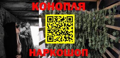 гидропоника Будённовск