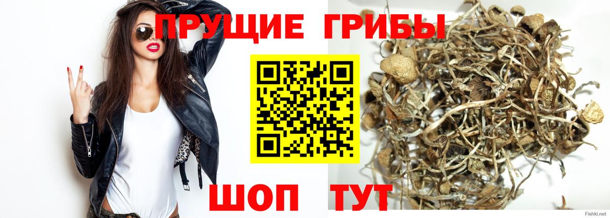 Псилоцибиновые грибы MAGIC MUSHROOMS Рыбинск