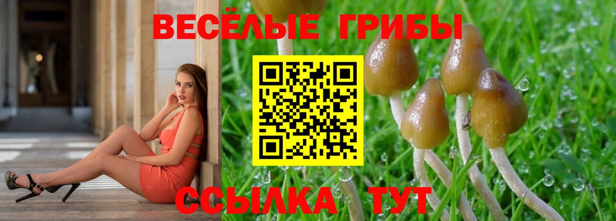 Рыбинск  Галлюциногенные грибы Psilocybe  Вход с VPN  Галлюциногенные грибы Magic Shrooms 
