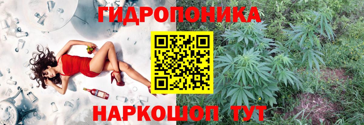 Бошки Шишки конопля  Вход с VPN  Бошки Шишки планчик  Бошки Шишки Bruce Banner  Рыбинск 